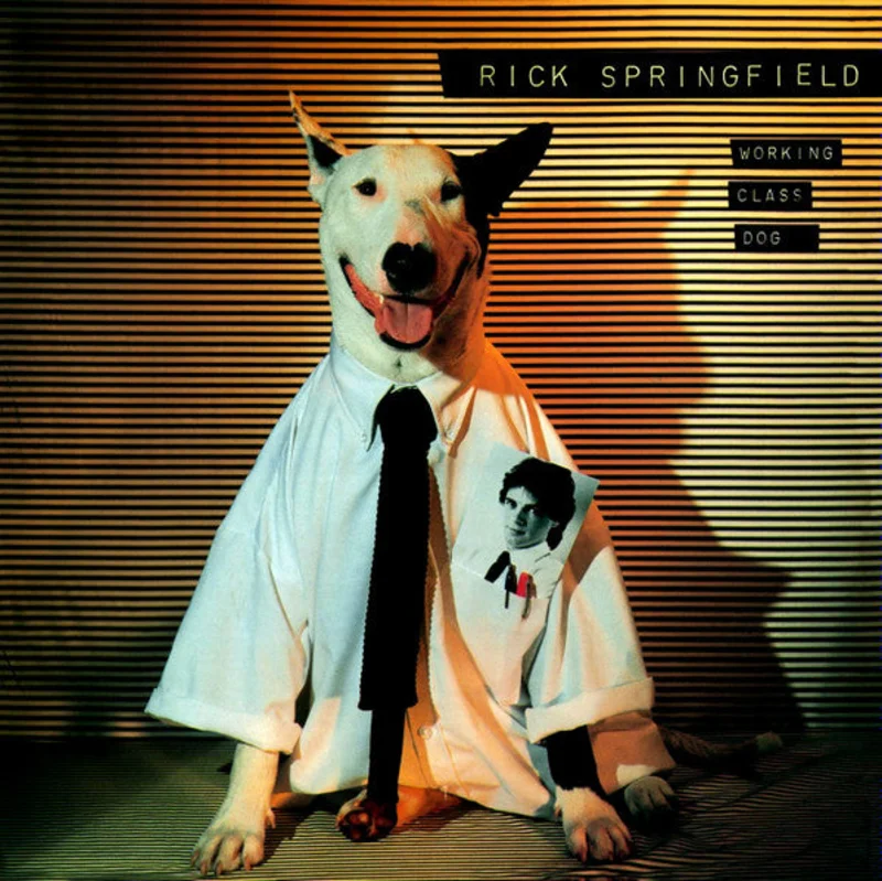 Rick Springfield - Working Class Dog