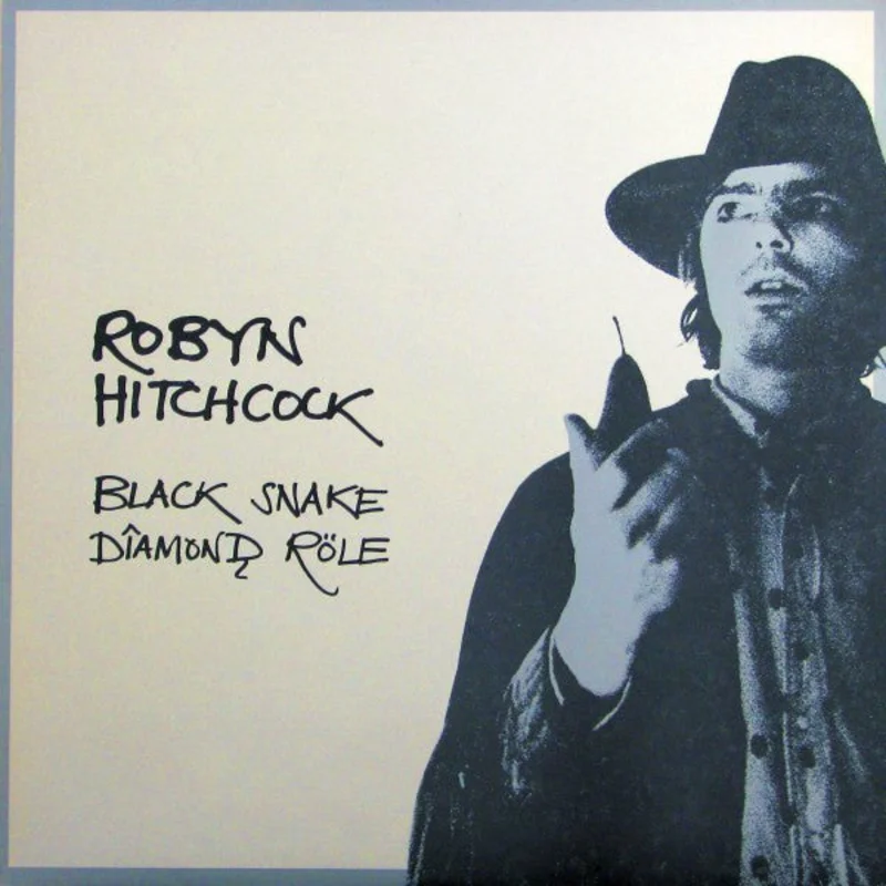 Robyn Hitchcock - Black Snake Diamond Rle