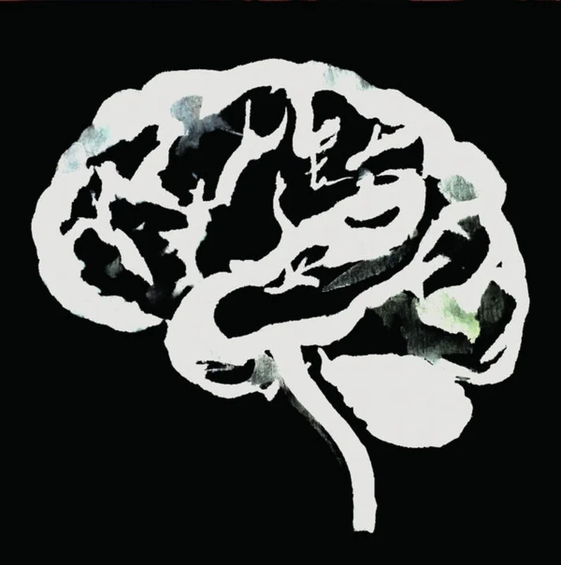 Ruins Brain Flakes (The Lost Combo Tapes)