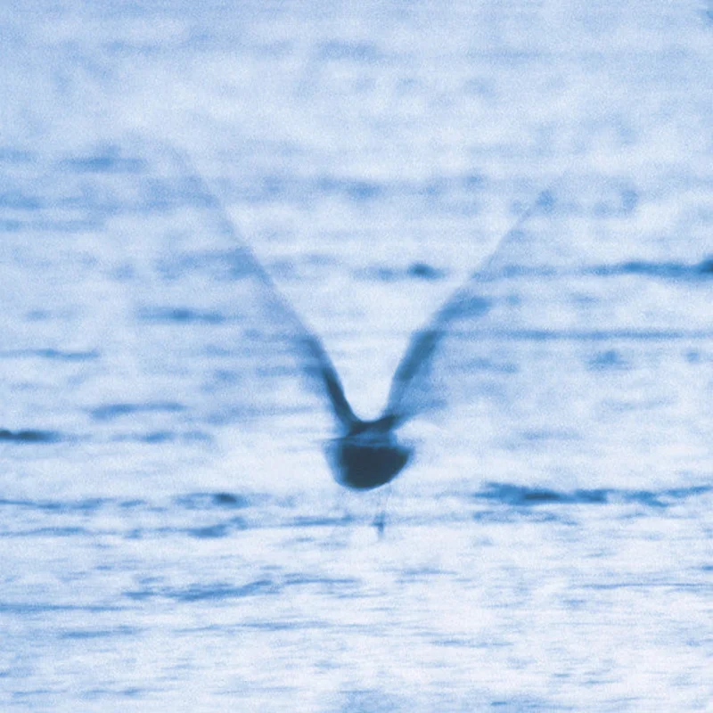 Ryo Fukui - Mellow Dream (Quick Ship)