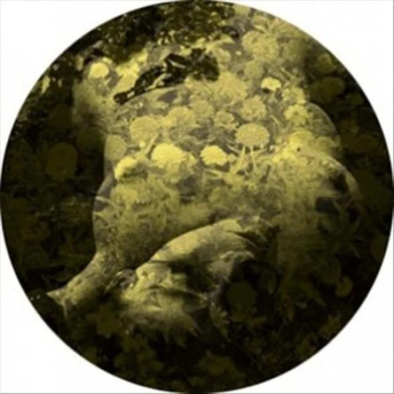 Salva Yellobone - 12_x001a_