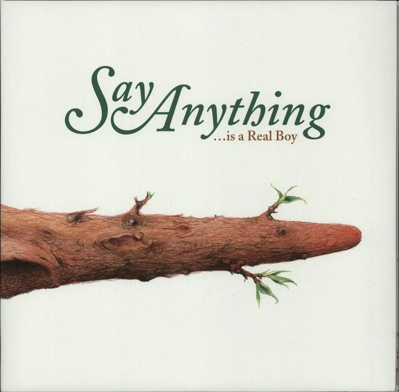 Say Anything ...Is A Real Boy US 2-LP vinyl set