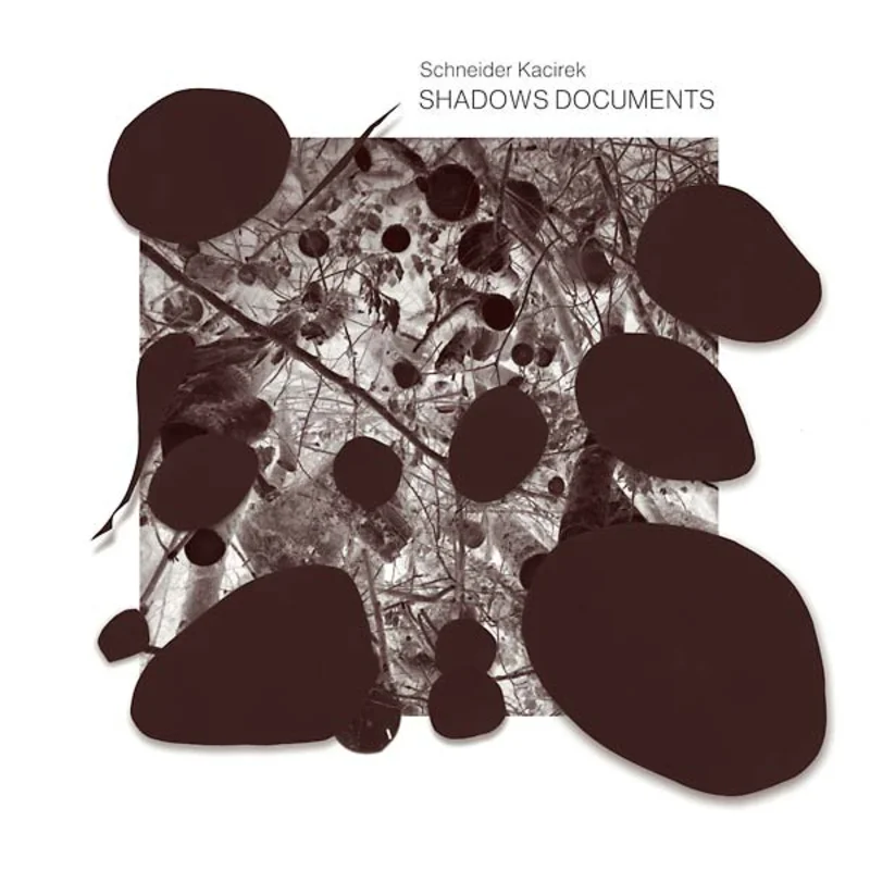 SCHNEIDER KACIREK Shadows Documents