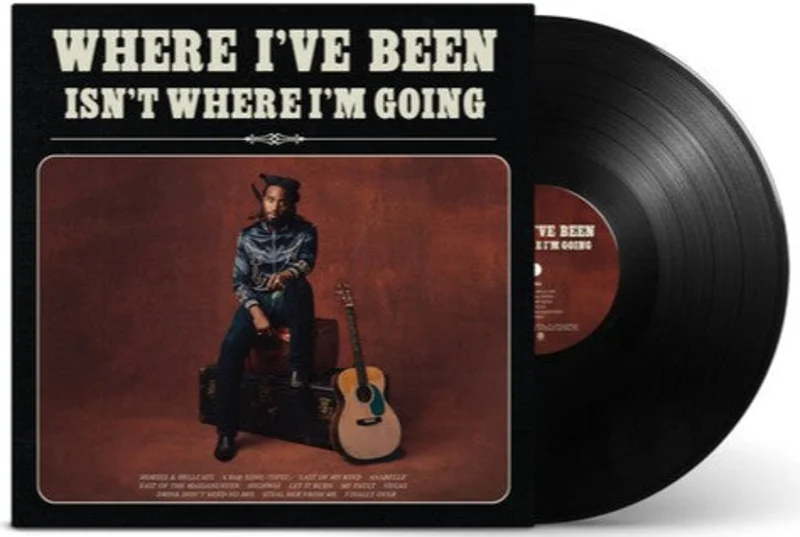 Shaboozey Where I've Been, Isn't Where I'm Going [Explicit Content] (Gatefold LP Jacket)