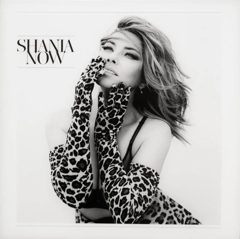 Shania Twain - Now