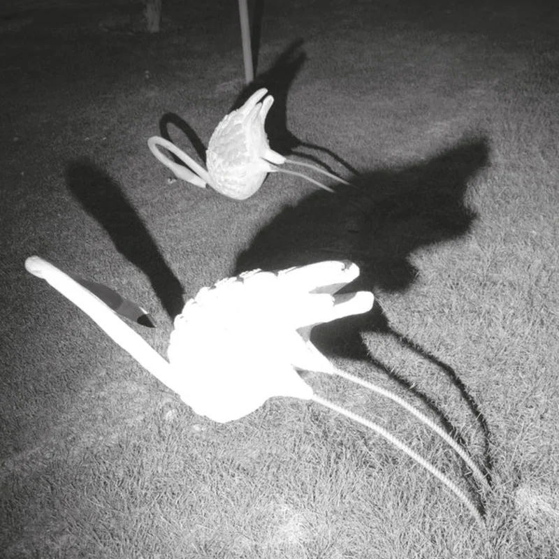 Siavash Amini A Mimesis of Nothingness