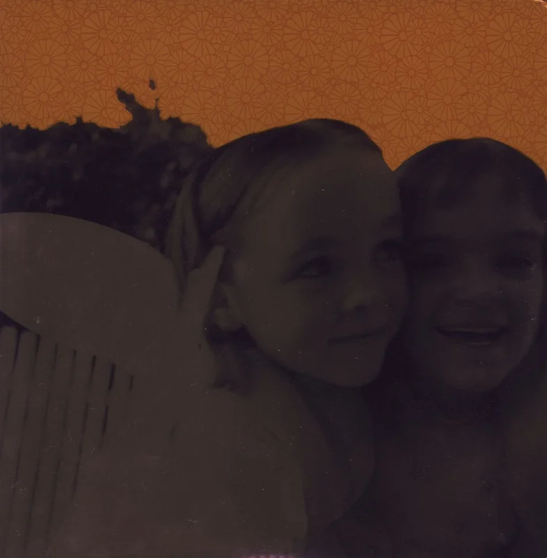 Smashing Pumpkins Siamese Dream - 180 Gram - Foil Metallic Cover - EX US 2-LP vinyl set