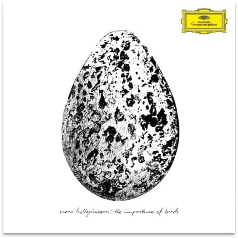 Snorri Hallgrmsson The Importance Of Birds - Black Vinyl - Sealed UK Vinyl LP