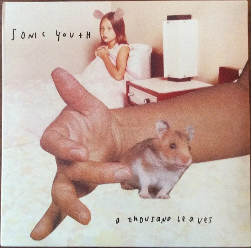 Sonic Youth - A Thousand Leaves