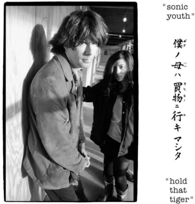 Sonic Youth Hold That Tiger (2 Lp's)