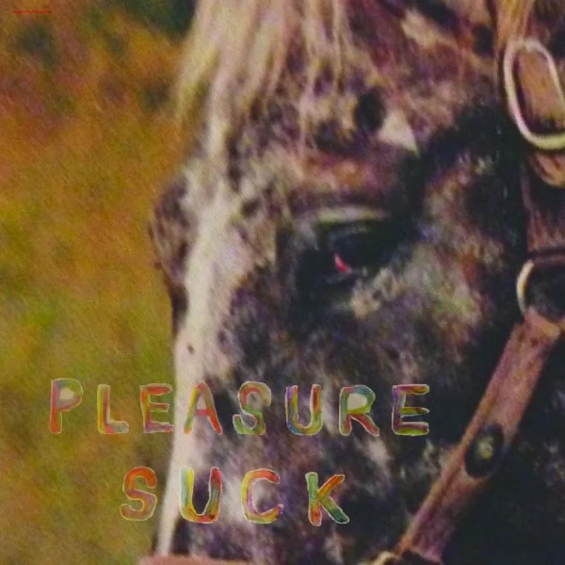 SPIRIT OF THE BEEHIVE Pleasure Suck (TRANSPARENT ORANGE VINYL)