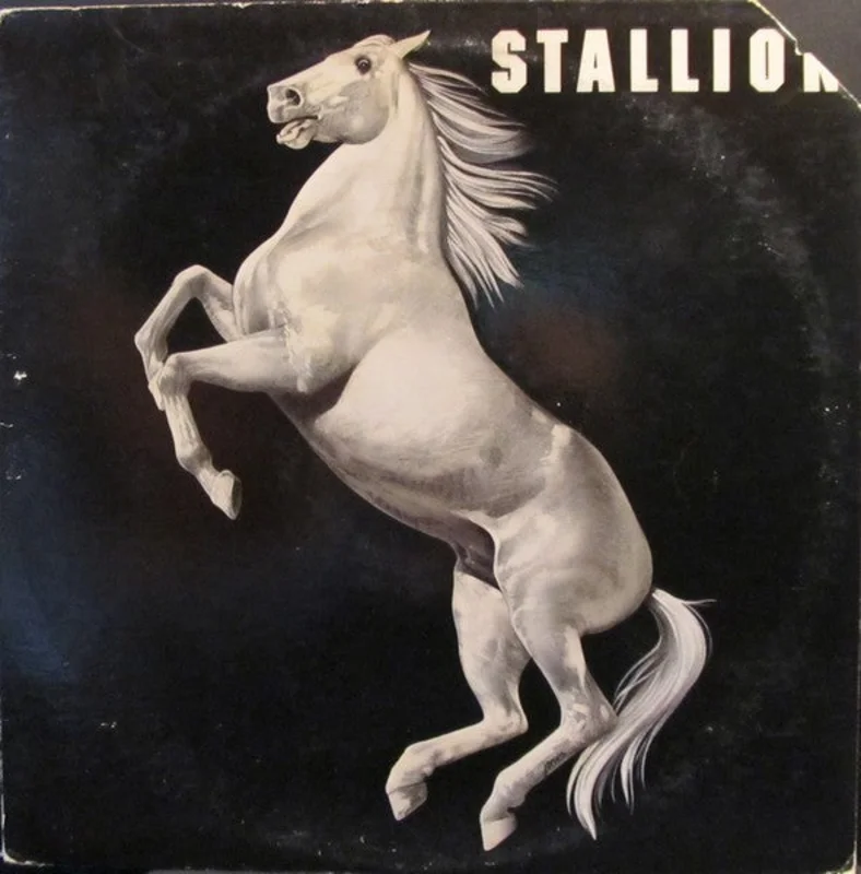 Stallion - Stallion