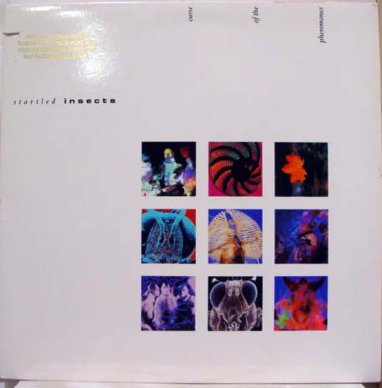Startled Insects - Curse Of The Pheromones