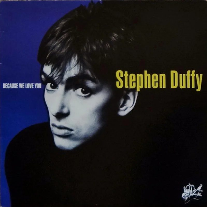Stephen Duffy - Because We Love You