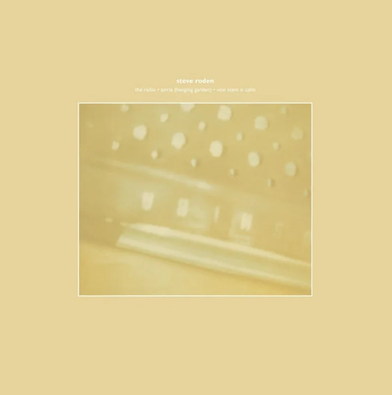 STEVE RODEN The Radio/Airria (Hanging Garden)/Vein Stem Is Calm