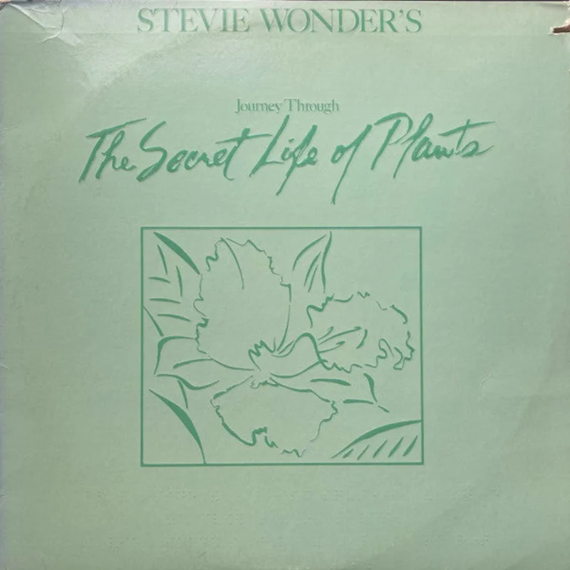 Stevie Wonder - Journey Through The Secret Life Of Plants