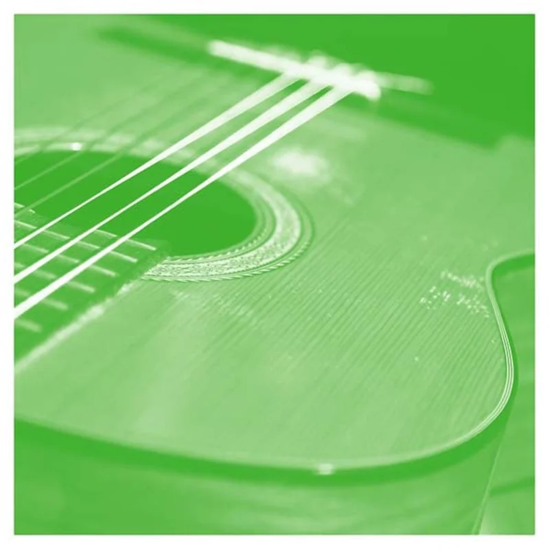 Tashi Dorji Solo Acoustic Volume Thirteen