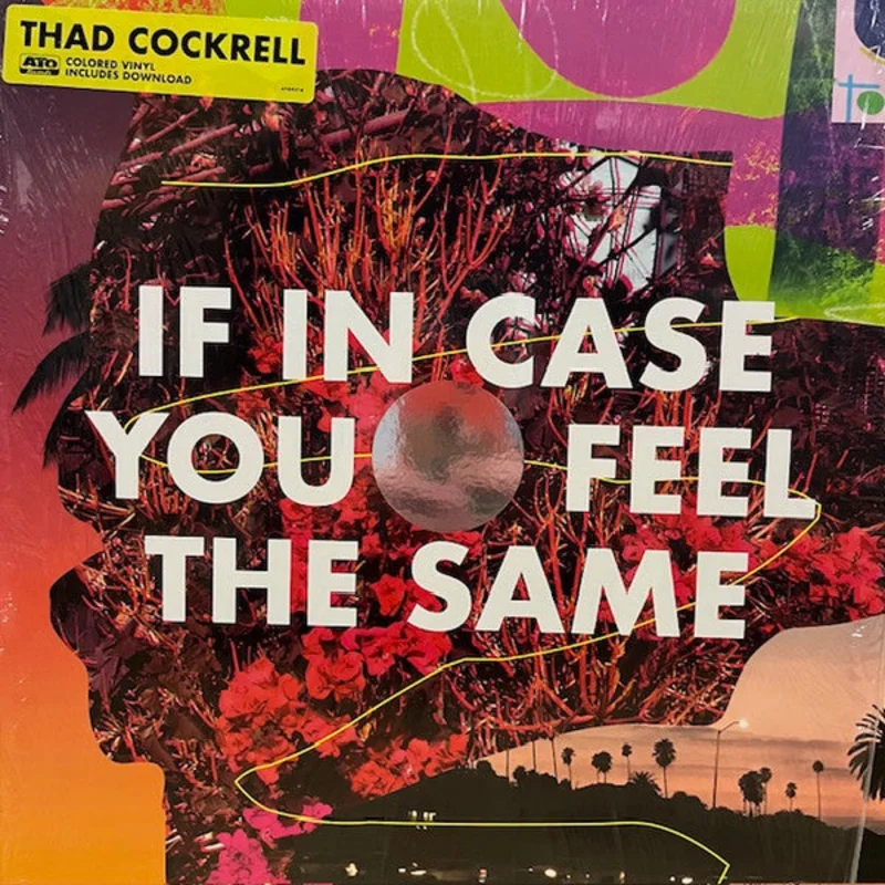 Thad Cockrell - If In Case You Feel The Same