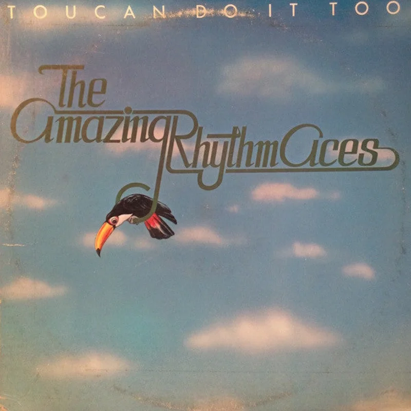 The Amazing Rhythm Aces - Toucan Do It Too