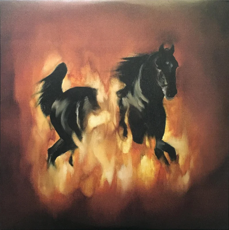 The Besnard Lakes - The Besnard Lakes Are The Dark Horse