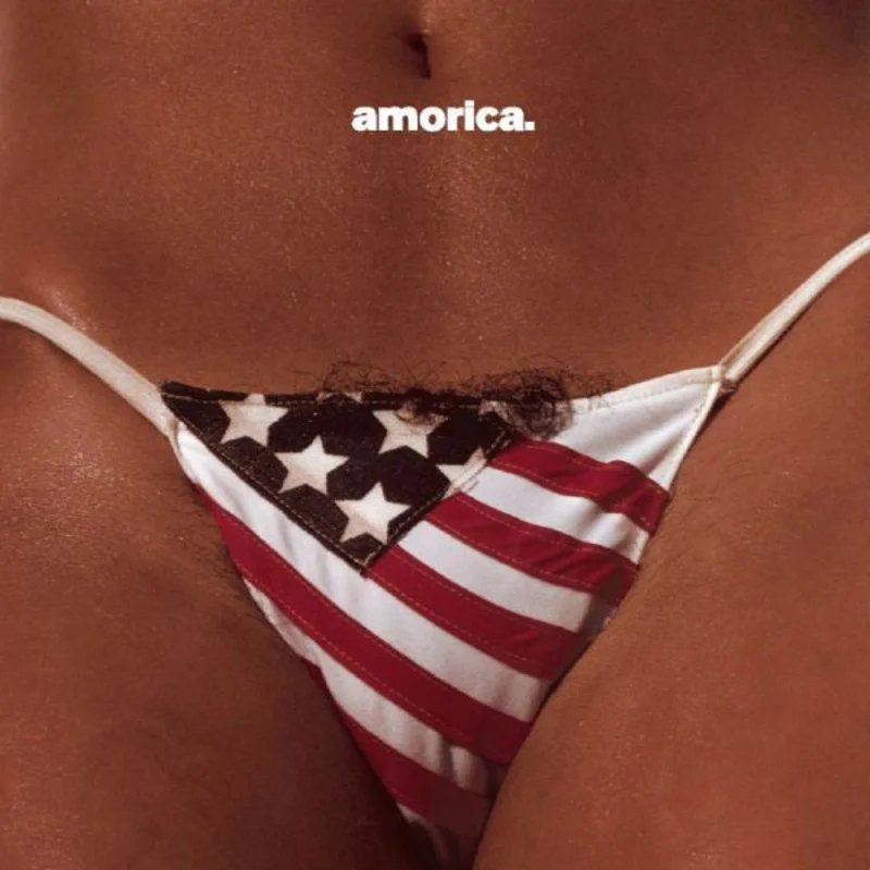 The Black Crowes - Amorica ( (Used Vinyl - NM) RM Marketplace