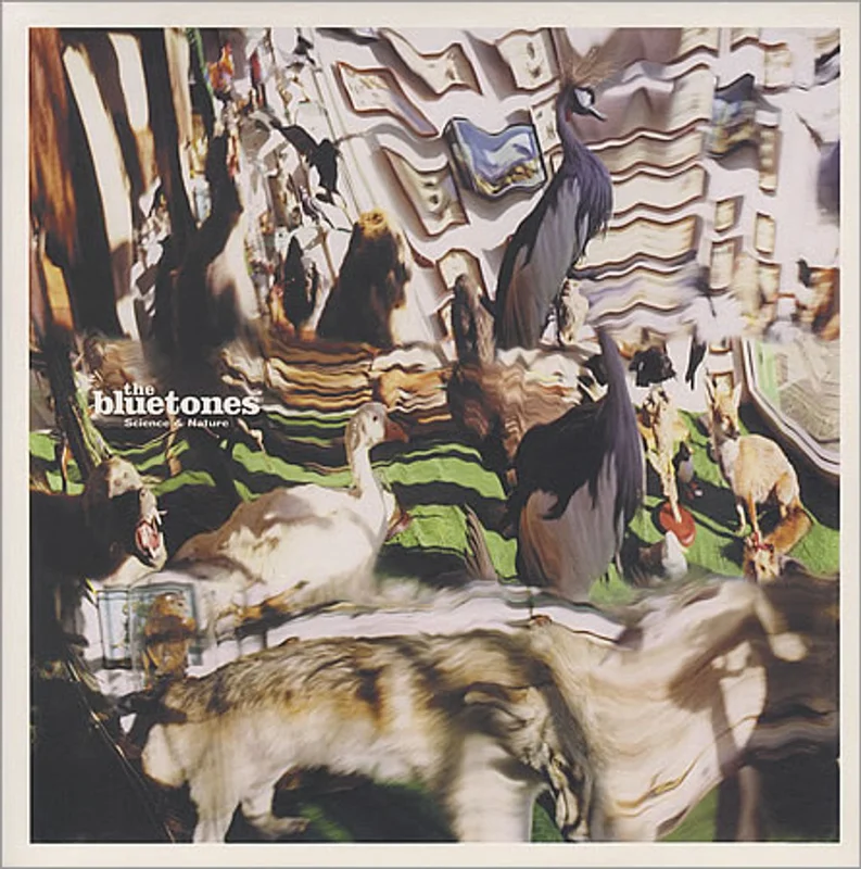 The Bluetones Science & Nature UK Vinyl LP