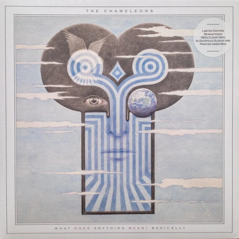 The Chameleons - What Does Anything Mean? Basically