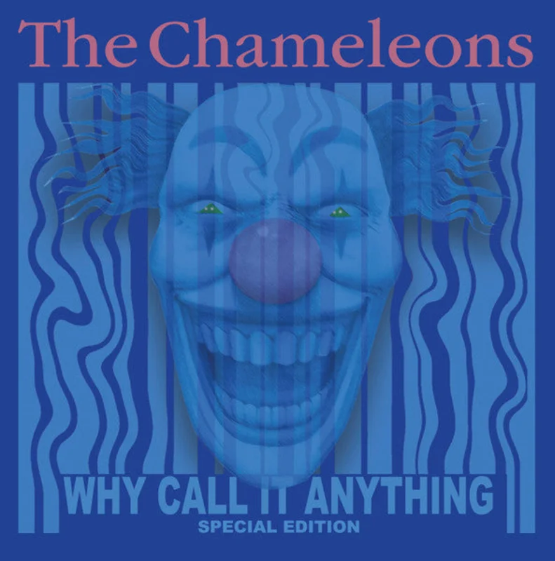The Chameleons - Why Call It Anything