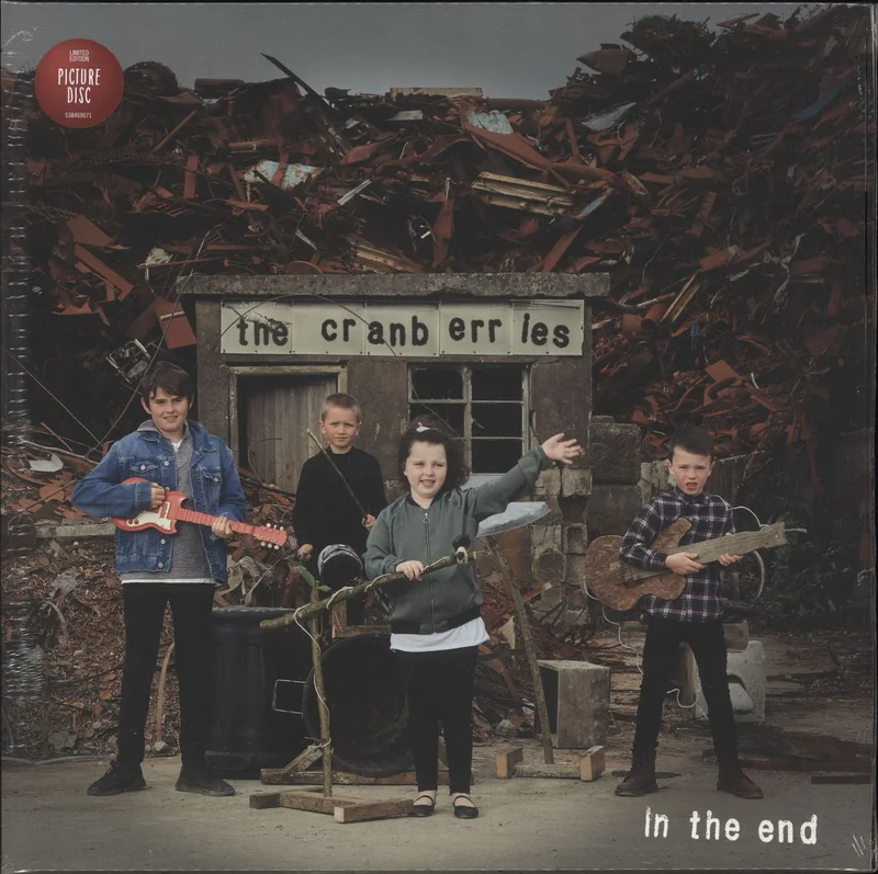 The Cranberries In The End UK Picture disc LP