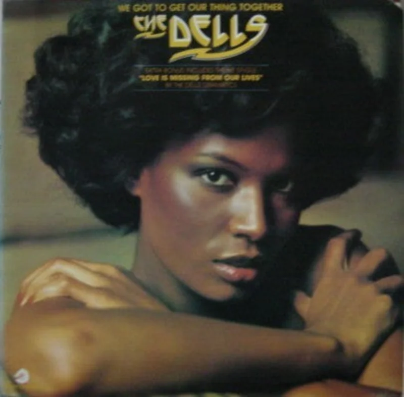 The Dells - We Got To Get Our Thing Together