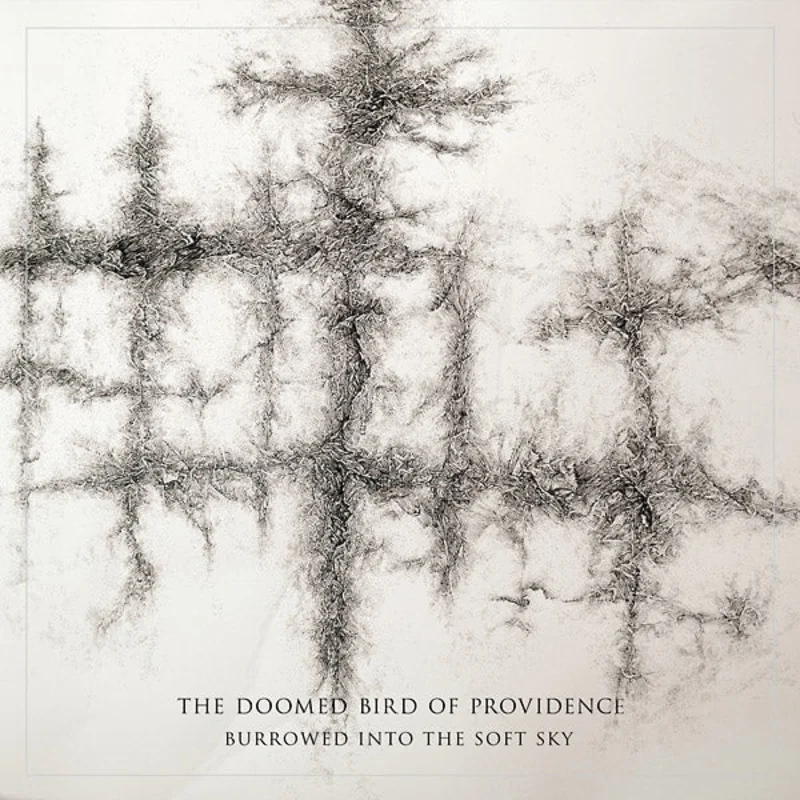 THE DOOMED BIRD OF PROVIDENCE Burrowed Into The Soft Sky