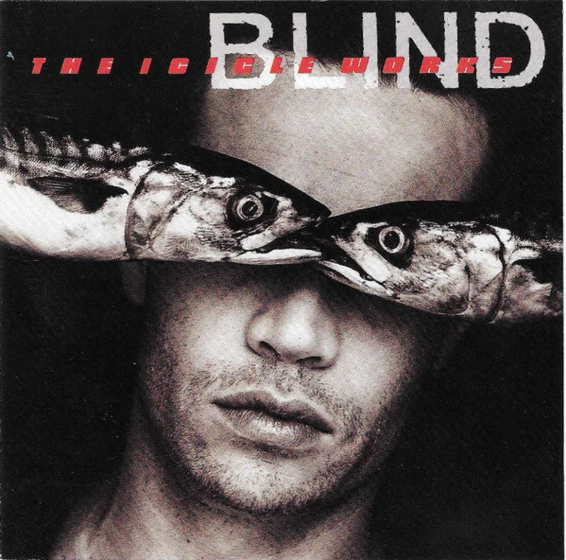The Icicle Works - Blind