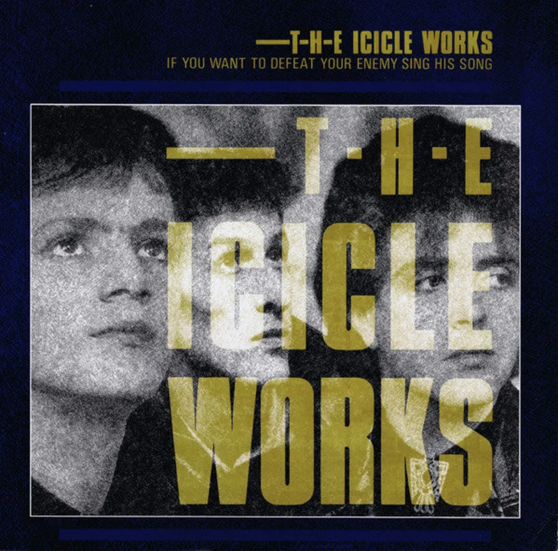 The Icicle Works - If You Want To Defeat Your Enemy Sing His Song