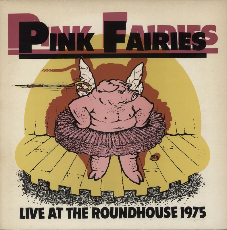 The Pink Fairies Live At The Roundhouse 1975 UK Vinyl LP