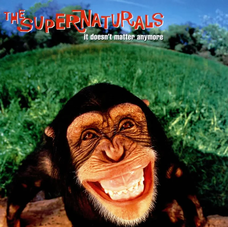 The Supernaturals It Doesn't Matter Anymore UK Vinyl LP