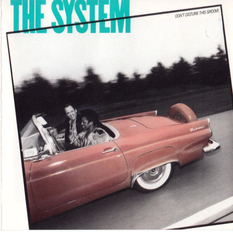 The System - Don't Disturb This Groove