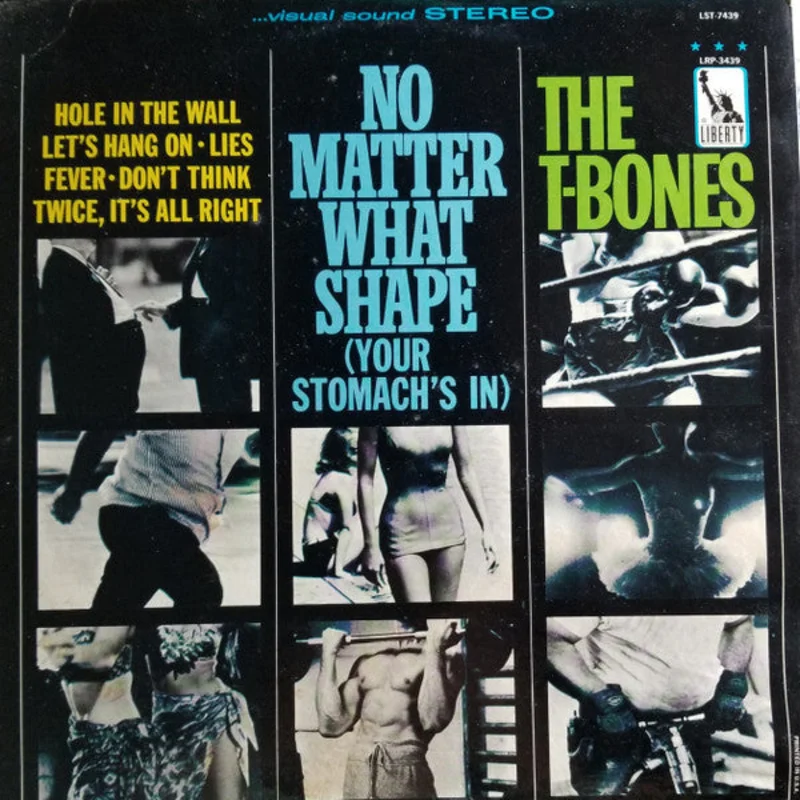 The T-Bones - No Matter What Shape (Your Stomach's In)
