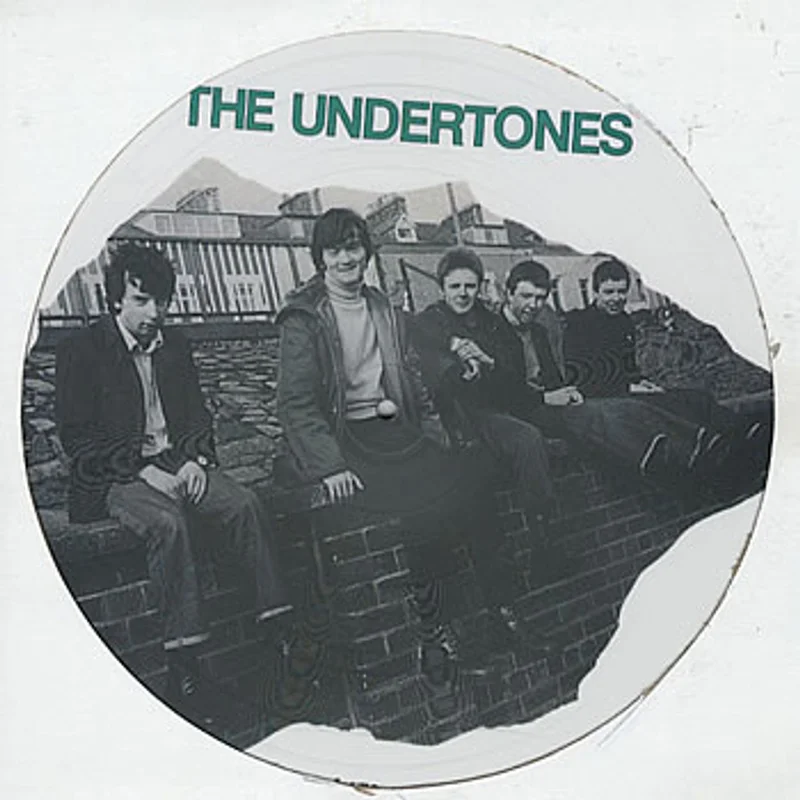 The Undertones The Undertones UK Picture disc LP