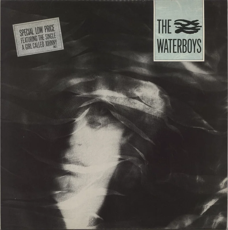 The Waterboys The Waterboys - Hype Sticker UK Vinyl LP