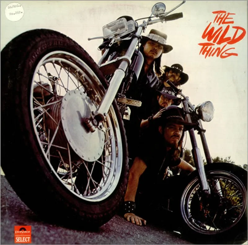 The Wild Thing The Wild Thing UK Vinyl LP