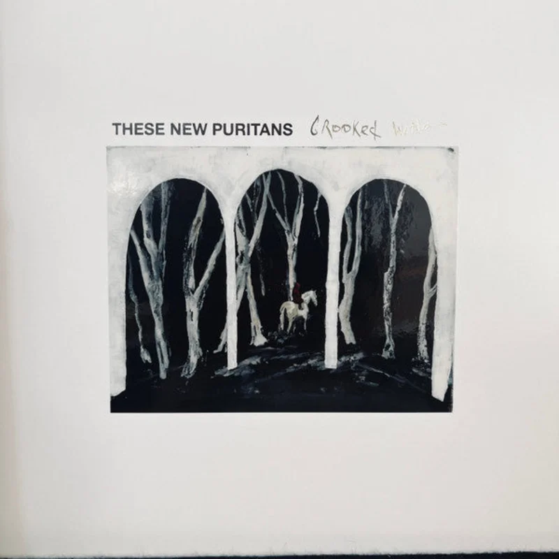 These New Puritans - Crooked Wing (Arrives in 21 days)