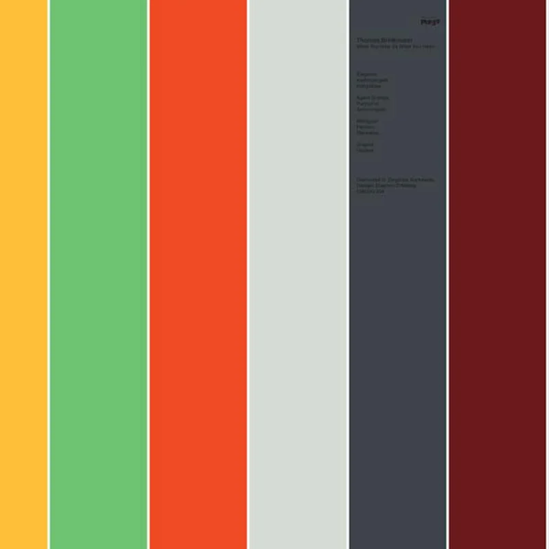 THOMAS BRINKMANN What You Hear (Is What You Hear)