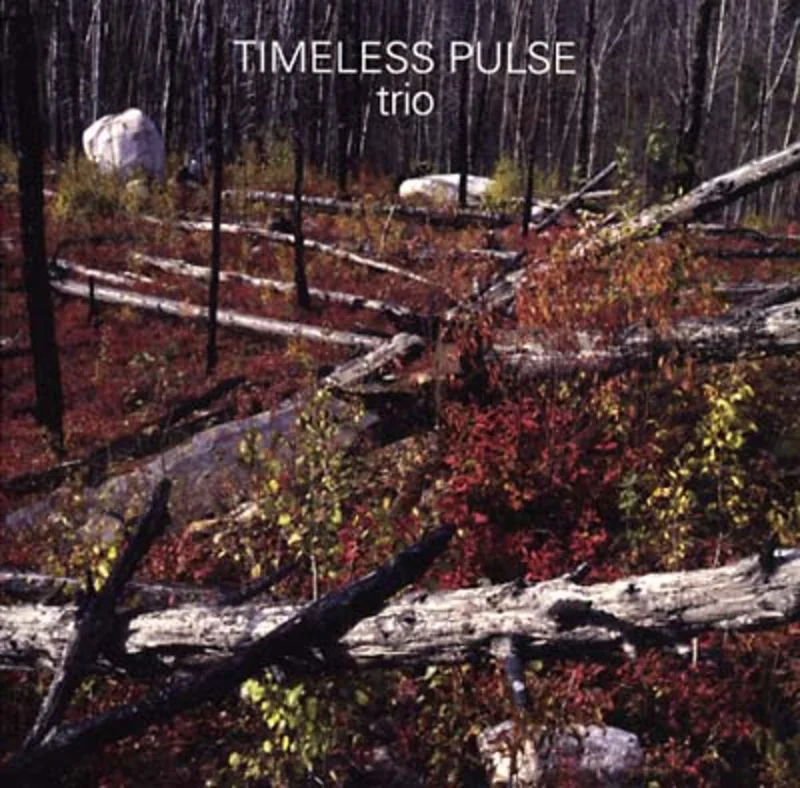 TIMELESS PULSE Trio