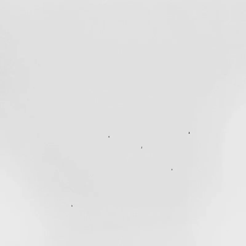 TODD ANDERSON-KUNERT Conjectures