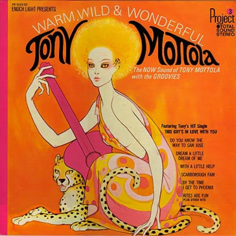 Tony Mottola, The Groovies - Warm, Wild & Wonderful