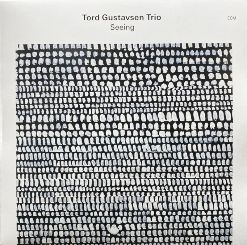 Tord Gustavsen Trio - Seeing