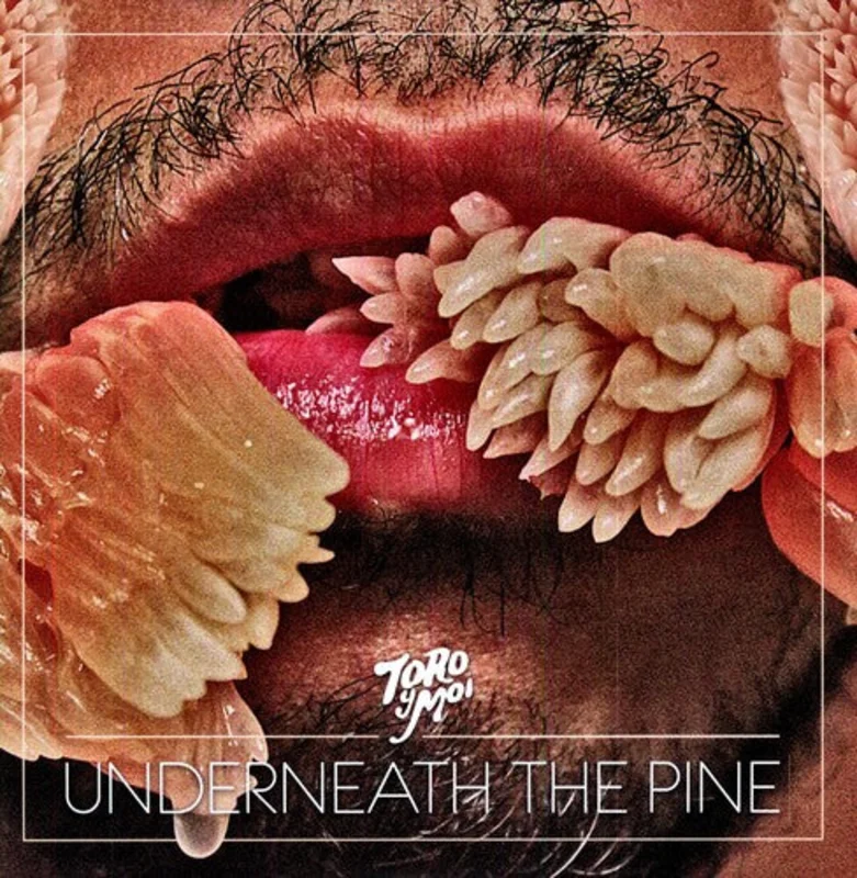Toro Y Moi Underneath the Pine