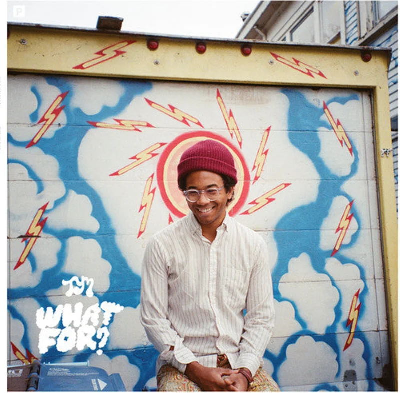 Toro Y Moi What For? (Digital Download Card)