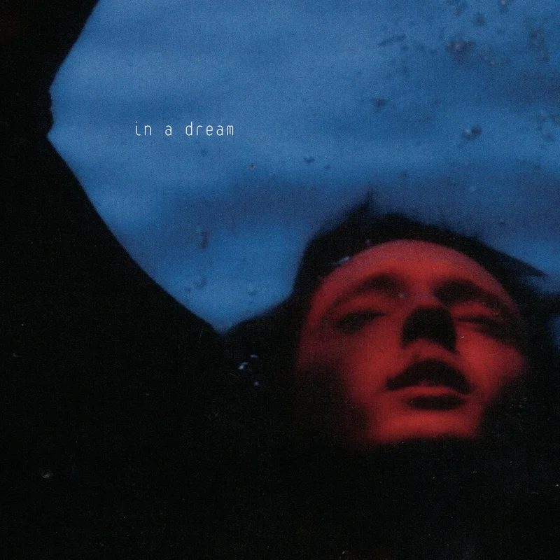 Troye Sivan In A Dream (5 Year Anniversary) [Red/Blue Swirl 12" Ep]