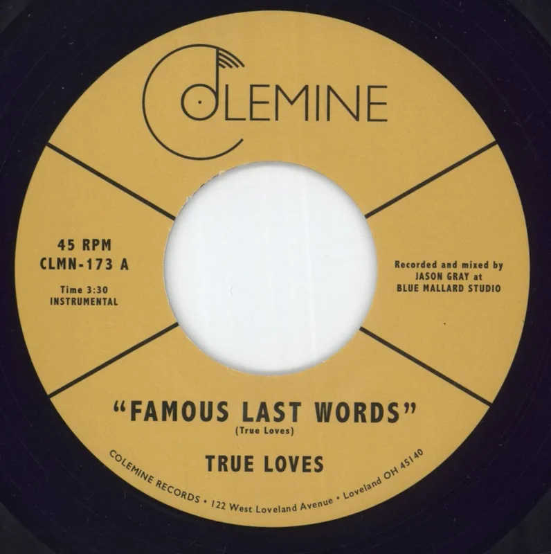 True Loves Famous Last Words - Purple Vinyl US 7" vinyl